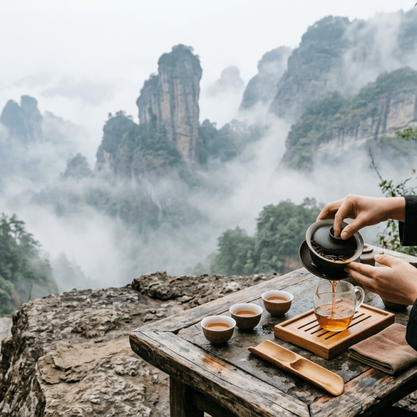 Demystifying Rock Tea: Is the Rooteas Wuyi Oolong Sampler Worth&nbsp;It?